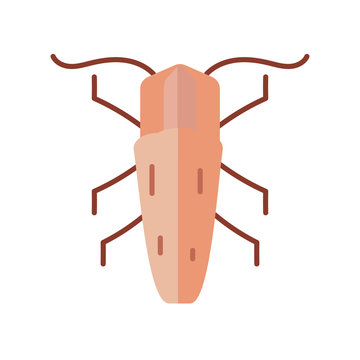 earwing insect icon, flat style