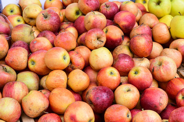 ugly eco food organic apples at the farmers' market. ugly fruits and vegetables concept. selective focus