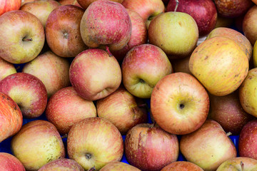 ugly eco food organic apples at the farmers' market. ugly fruits and vegetables concept. selective focus
