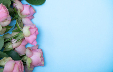 spring roses flatlay on blue background. Concept of flowers for Valentines Day , mothers Day or March 8