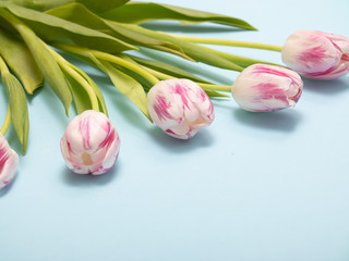 Fototapeta premium spring tulips flatlay on blue background. Concept of flowers for Valentines Day , mothers Day or March 8