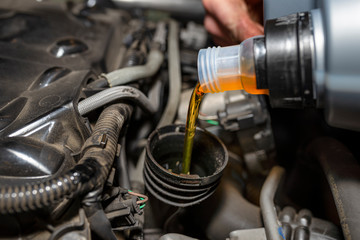 Fototapeta premium Car mechanic pours new car oil into the engine from a plastic tank in a car workshop.