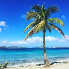 Francis Bay Beach St. John