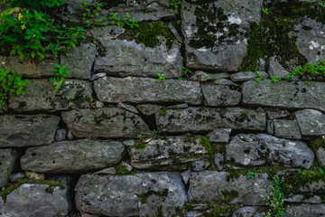 Wall rock, background with leaves