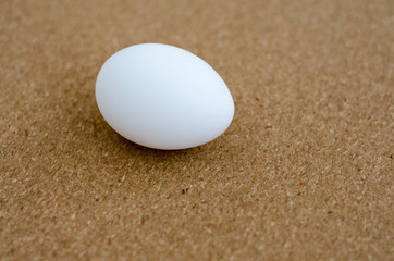 egg