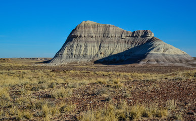 The trunks of petrified trees, multi-colored crystals of minerals. Petrified Forest National Park,...