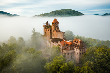 Burg Berwartstein im Nebel - obrazy, fototapety, plakaty