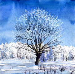Watercolor winter landscape a tall tree in a center - sunny day, bright blue sky and snow drifts.