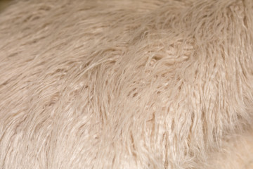 Background from artificial fur fabric with a long pile of light beige shade. Eco-friendly replacement for sodium fur