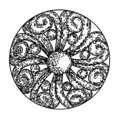 Antique style drawn flowers with petals. Decorative design elements in baroque, rococo style for pattern cover, fabric, textile, wrapping paper. Vector.