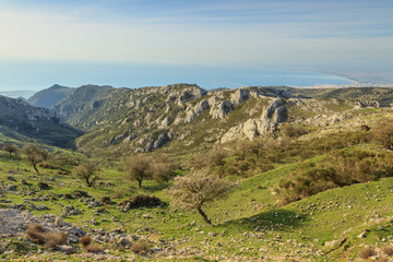 Gargano promontory: panoramic view from Monte Sant'Angelo. Spring Rural landscape with almond...