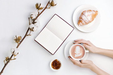 Fototapeta na wymiar Hands holding coffee and notebook with croissant and cotton branch