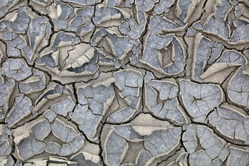 Dry cracked land