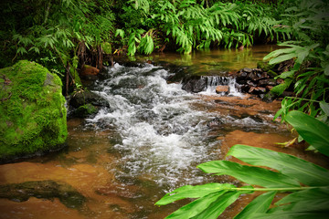 small waterfall of the pirahy river among the foliage