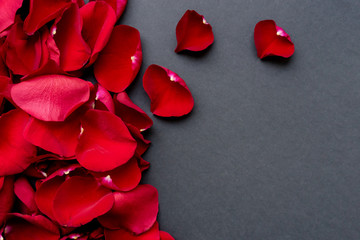 Classic dark background with a frame of red rose petals. Copy space. A carpet of flowers.