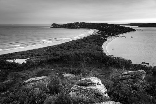 Black and white photo of Palm Beach, Australia