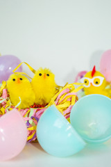 easter eggs and chickens on white background