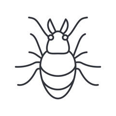 chafer insect icon, line detail style