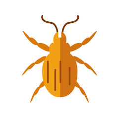 tick insect, flat style icon