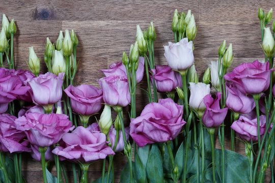 purple and white eustom roses on wooden background. Empty space for design.