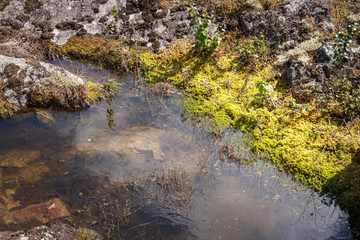 Rocks and remnants of a dry river at Döda Fallet in Sweden