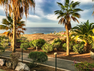 Fototapeta premium Teneriffe