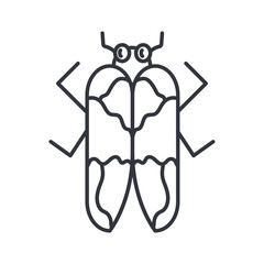 firefly insect icon, line detail style