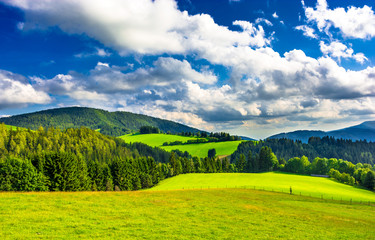 Rural Landscape With Forest and Hills in Austria