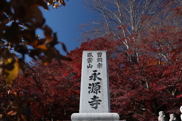 永源寺の紅葉