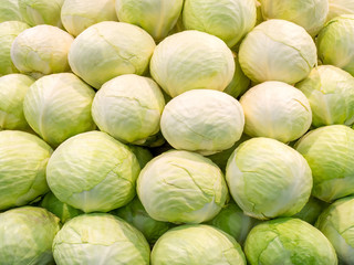 Heads of white cabbage background texture