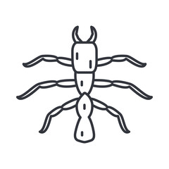 termite insect, line detail style icon