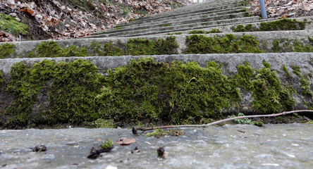 Fototapeta na wymiar stairway in the park