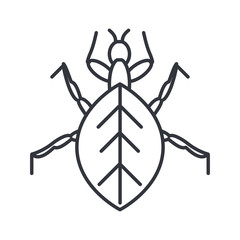 aphid insect, line detail style icon