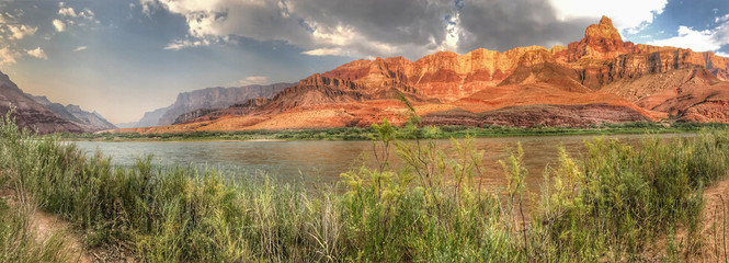 Panoramic wide view of the Colorado River, Palisades of the Desert and Comanche Point, with reeds...