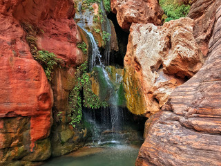 Elves Chasm waterfall with moss and maidenhair ferns.  Grand Canyon National Park, UNESCO World Heritage Site, Arizona