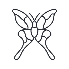 butterfly icon, line detail style