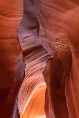 Slot Canyon Antelope near Page in Arizona, USA