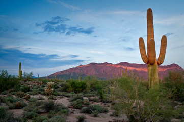 The west face of Usery Mountain glows in the warm light from a setting sun in Usery Mountain Regional Park, Mesa, Arizona.