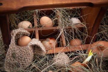 eggs in nest
