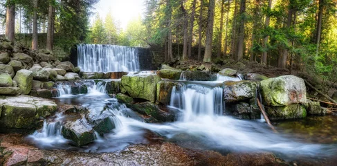 Fotobehang Prachtig panorama van waterval in het bos © Piotr Krzeslak