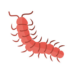 centipede insect, flat style icon