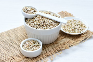 Raw barley grains, exhibited in containers on bottom in cloth