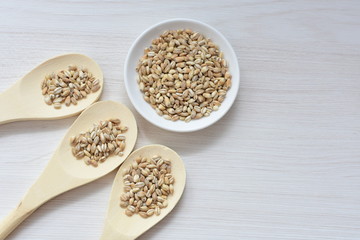 Raw barley grains, released in containers on white wooden background