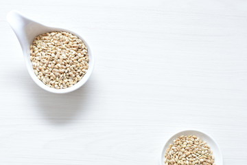 Raw barley grains, released in containers on white wooden background