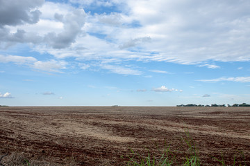 Plowed land for planting