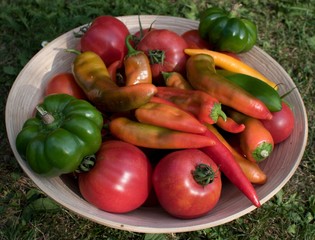 Bowl full of tomatoes and peppers