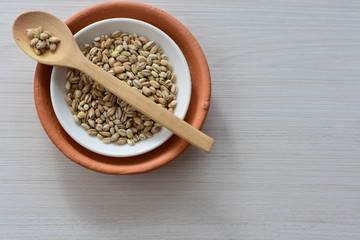 Raw barley grains, released in containers on white wooden background