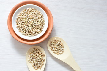Raw barley grains, released in containers on white wooden background