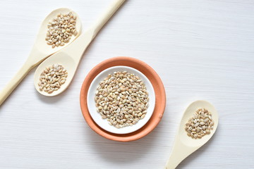 Raw barley grains, released in containers on white wooden background