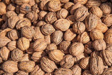 tasty and succulent walnuts from the latest harvest ready for sale to the public